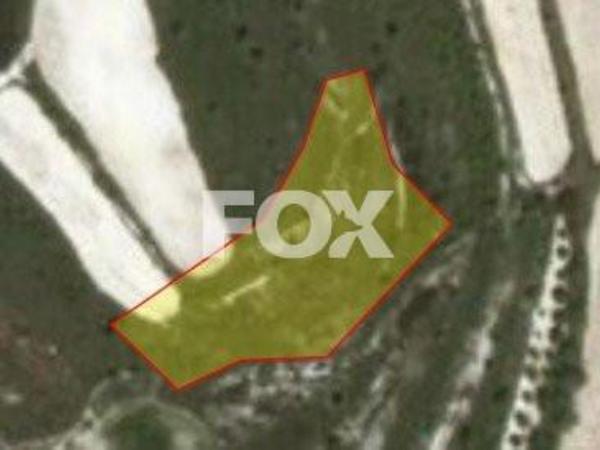 land for sale kathikas paphos 1158823 image 5504858