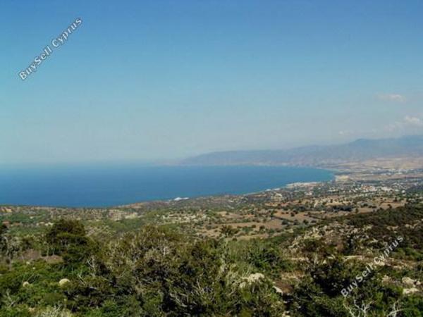 land for sale neo chorio paphos 232823 image 283240