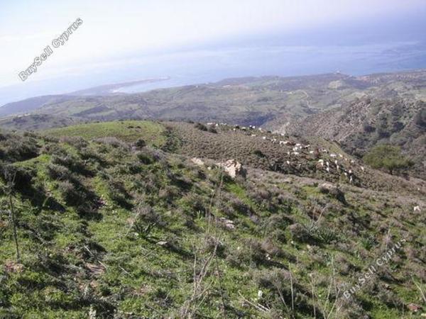 land for sale neo chorio paphos 232823 image 283241