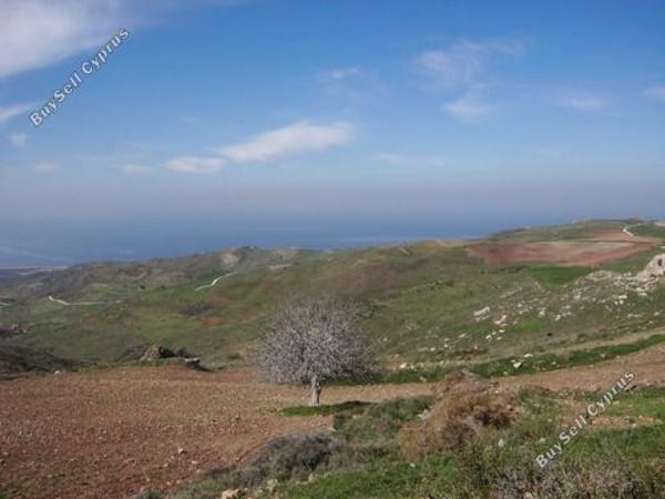 land for sale neo chorio paphos 232823 image 283242