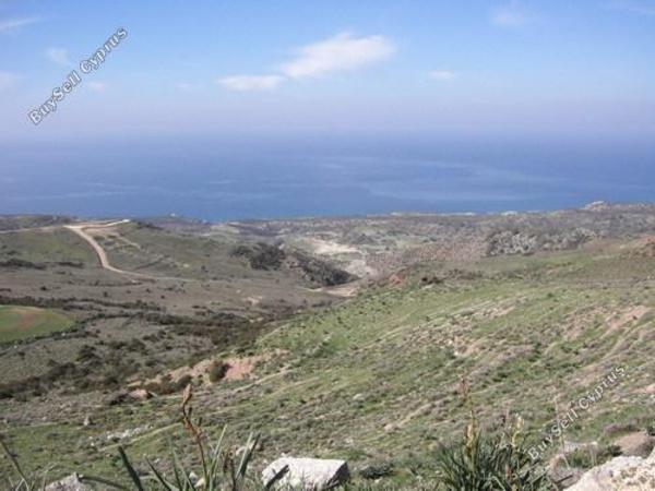 land for sale neo chorio paphos 232823 image 283243