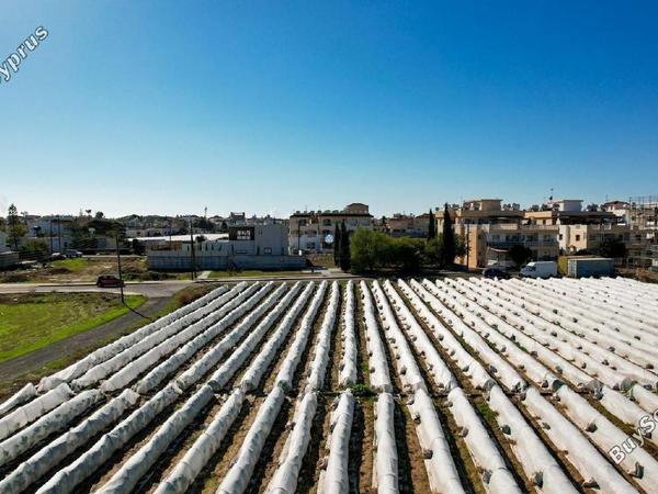land for sale paralimni famagusta 1605823 image 5666007