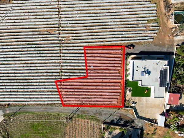 land for sale paralimni famagusta 1605823 image 5666016