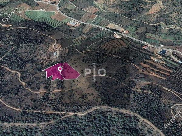 land for sale tsakistra nicosia 8274923 image 15156341