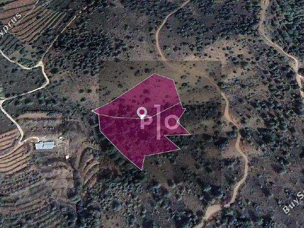 land for sale tsakistra nicosia 8274923 image 15156342