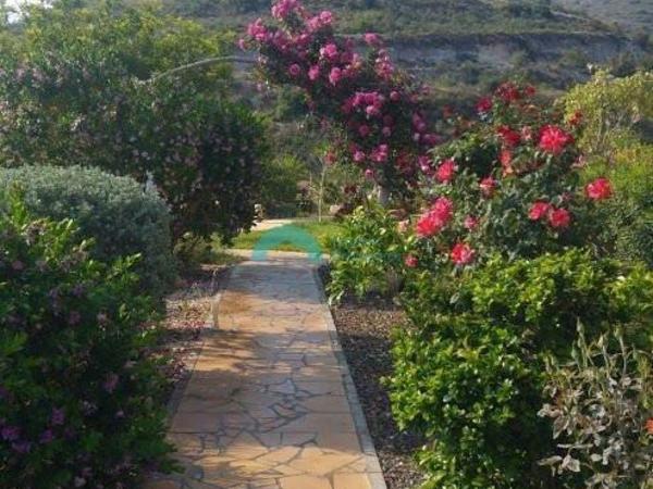 5 bedroom detached house for sale akrounta limassol 922033 image 15704683