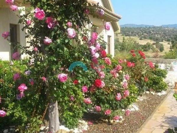 5 bedroom detached house for sale akrounta limassol 922033 image 15704701