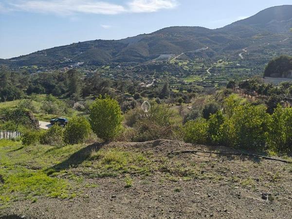 land for sale akrounta limassol 8339033 image 14358171