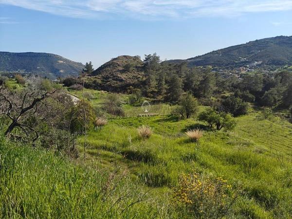 land for sale akrounta limassol 8339033 image 14358174