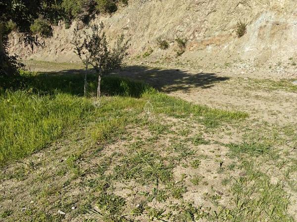 land for sale akrounta limassol 8339033 image 14358178