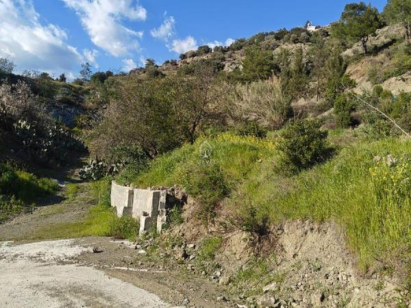 land for sale akrounta limassol 8339033 image 14358188