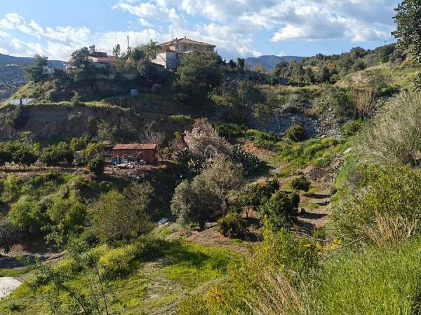 land for sale akrounta limassol 8339033 image 14358192