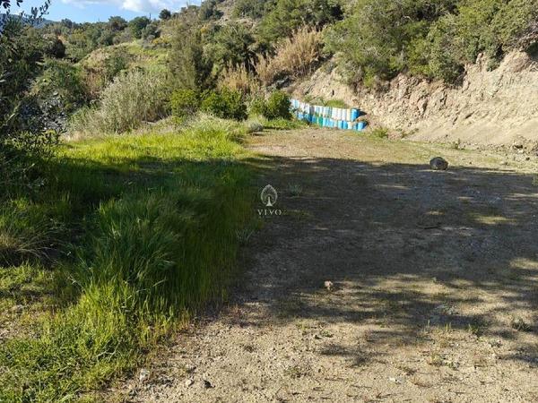 land for sale akrounta limassol 8339033 image 14358194