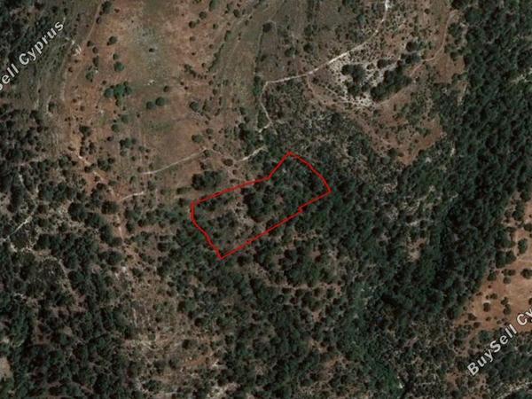 land for sale dora limassol 829033 image 11082336