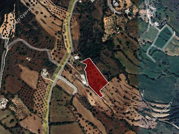 land for sale pano akourdalia paphos 823033 image 16512125