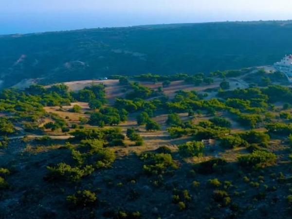 land for sale pissouri limassol 1800033 image 5993689