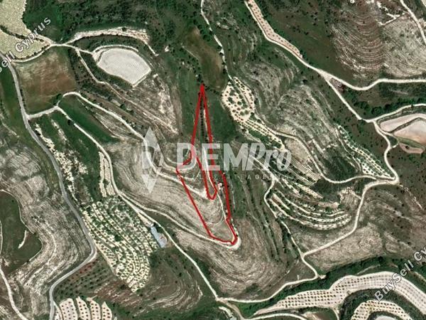 land for sale tsada paphos 7813033 image 16239013
