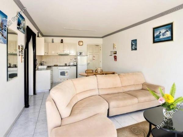 studio building for sale kato paphos paphos 1355033 image 5617909