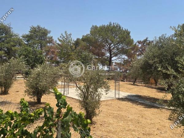 3 bedroom detached house for sale souni zanakia limassol 1927133 image 12393181