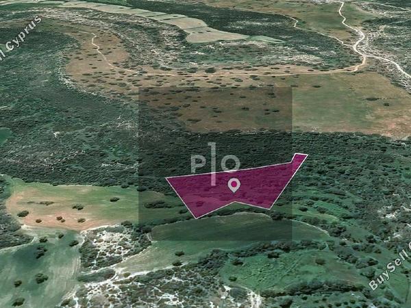 land for sale agios theodoros larnacas larnaca 8275133 image 15740620