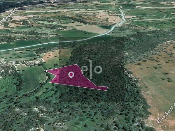 land for sale agios theodoros larnacas larnaca 8275133 image 15740626