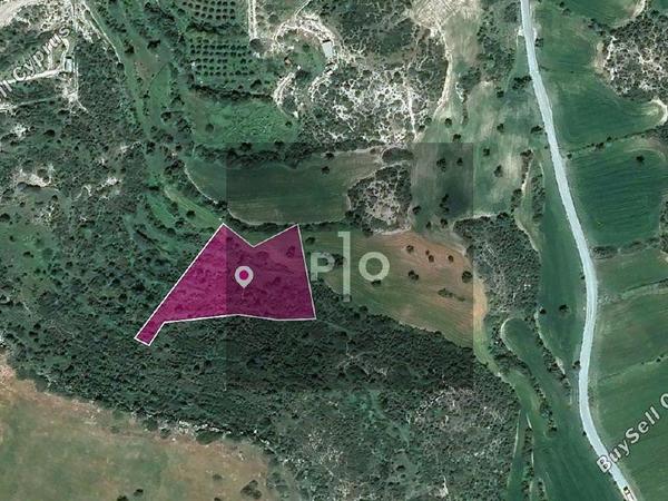 land for sale agios theodoros larnacas larnaca 8275133 image 15740628