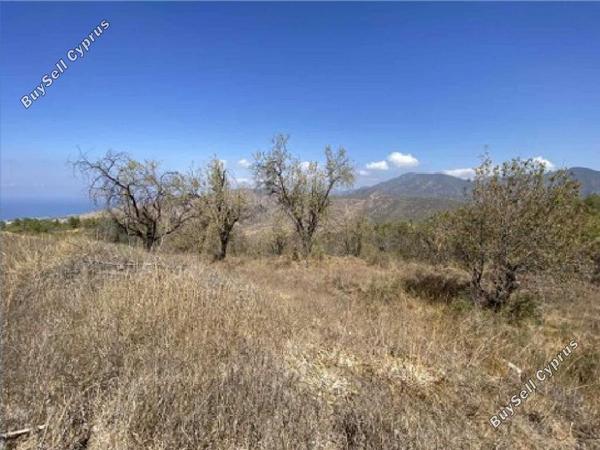 land for sale kinousa paphos 7533133 image 17420124