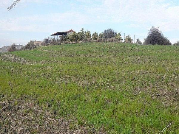 land for sale mitsero nicosia 1589133 image 16176787