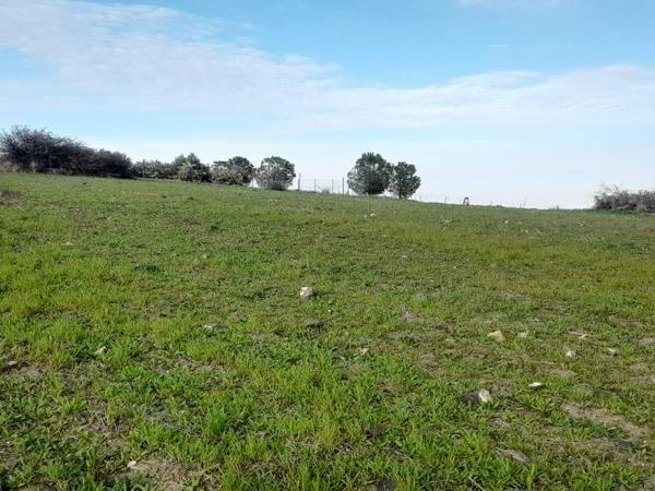 land for sale mitsero nicosia 1589133 image 16176790