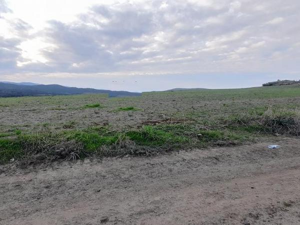 land for sale mitsero nicosia 1589133 image 16176791