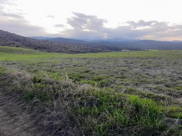 land for sale mitsero nicosia 1589133 image 16176793