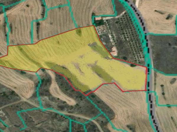 land for sale mitsero nicosia 1589133 image 16176794
