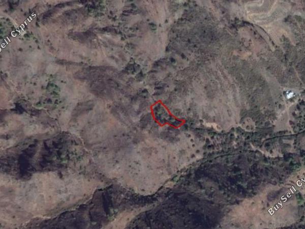 land for sale pigenia nicosia 830133 image 15664195