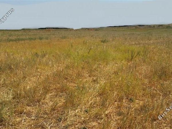 land for sale psimolofou nicosia 1062133 image 16182086