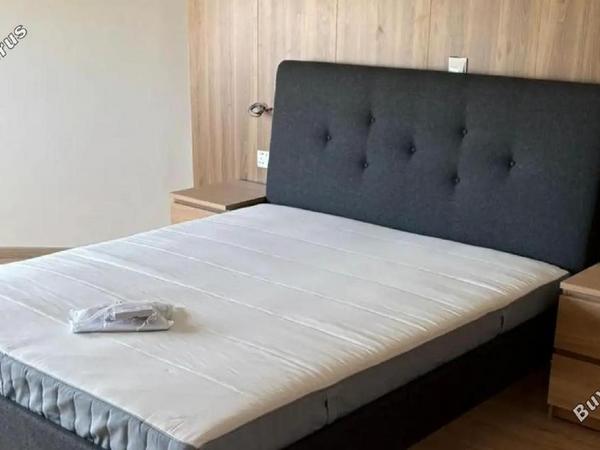 2 bedroom apartment for rent mesa gitonia limassol 8468233 image 15251214