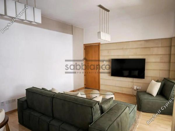 2 bedroom apartment for rent strovolos nicosia 8749233 image 16474016