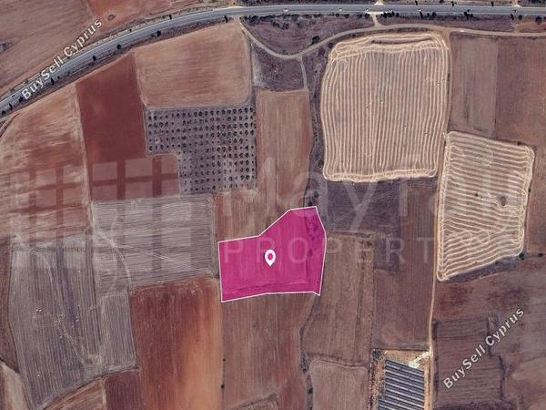 land for sale kato koutrafas nicosia 7872233 image 14375733