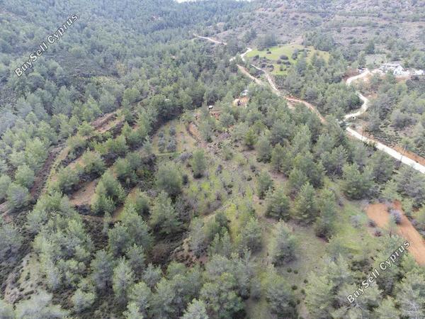 land for sale klirou nicosia 1037233 image 15600626