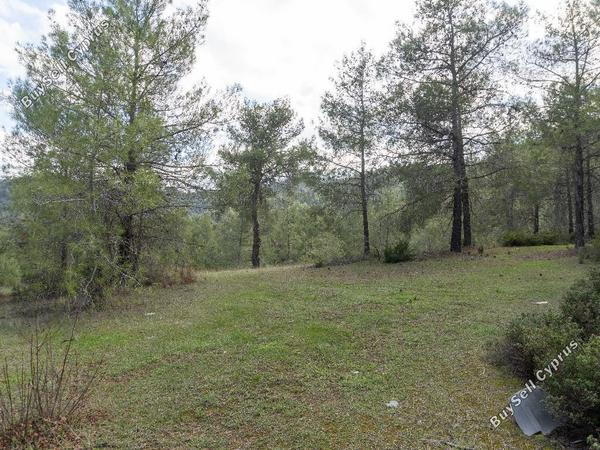 land for sale klirou nicosia 1037233 image 15600628