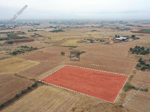 land for sale avgorou famagusta 8765333 image 16560540