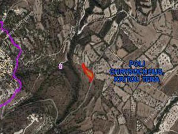 land for sale kritou tera paphos 1937333 image 10052396