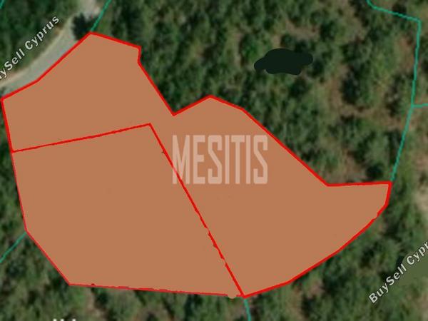 land for sale lemithou limassol 1356333 image 10500120