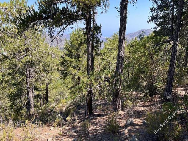 land for sale pedoulas nicosia 8140333 image 13391727