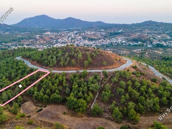 plot for sale kornos larnaca 8175333 image 13561398