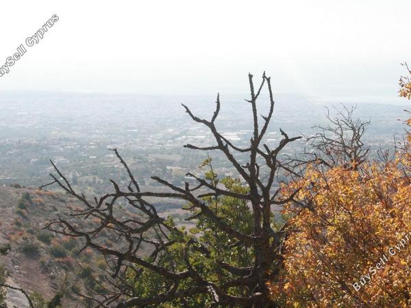 plot for sale tsada paphos 762333 image 619833