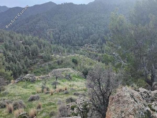 plot for sale xyliatos nicosia 8139333 image 13386650
