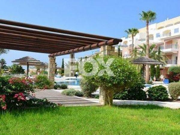 studio shop for sale geroskipou paphos 1159333 image 5521796