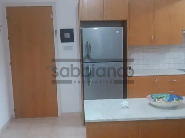 2 bedroom apartment for rent agios dometios nicosia 8749433 image 16475773