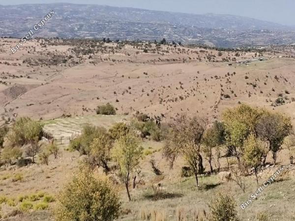 land for sale faleia paphos 8630433 image 16278000