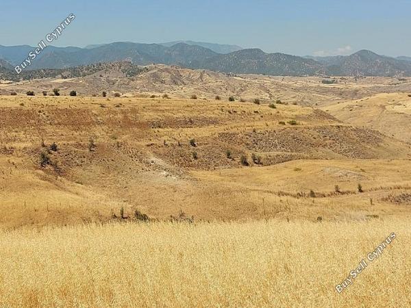 land for sale orounta nicosia 947433 image 15603512